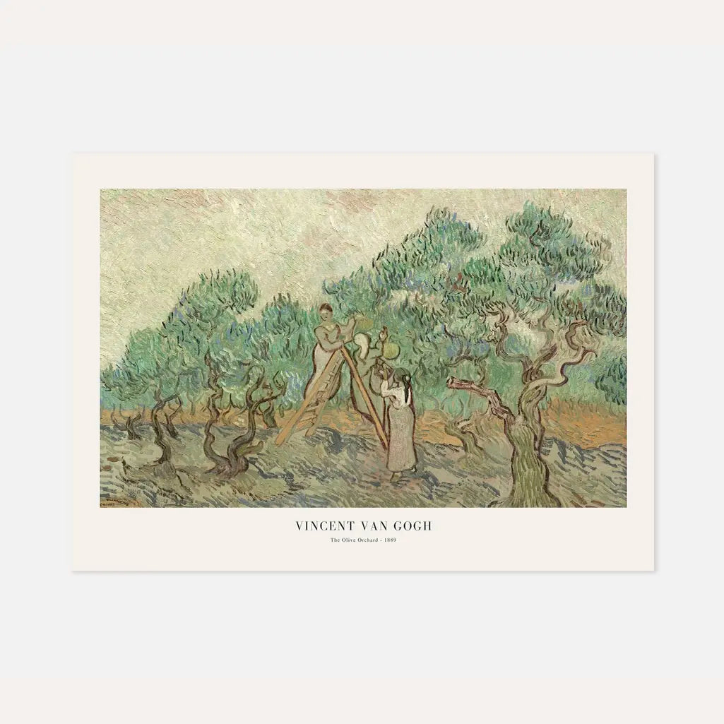 Poster Vincent van Gogh – Uliveto