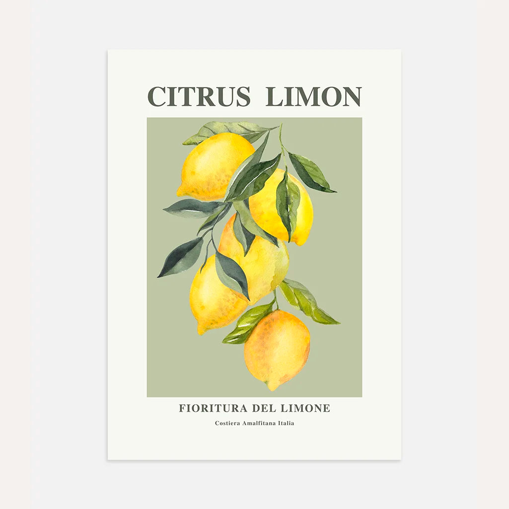 Poster Ramo di Limoni