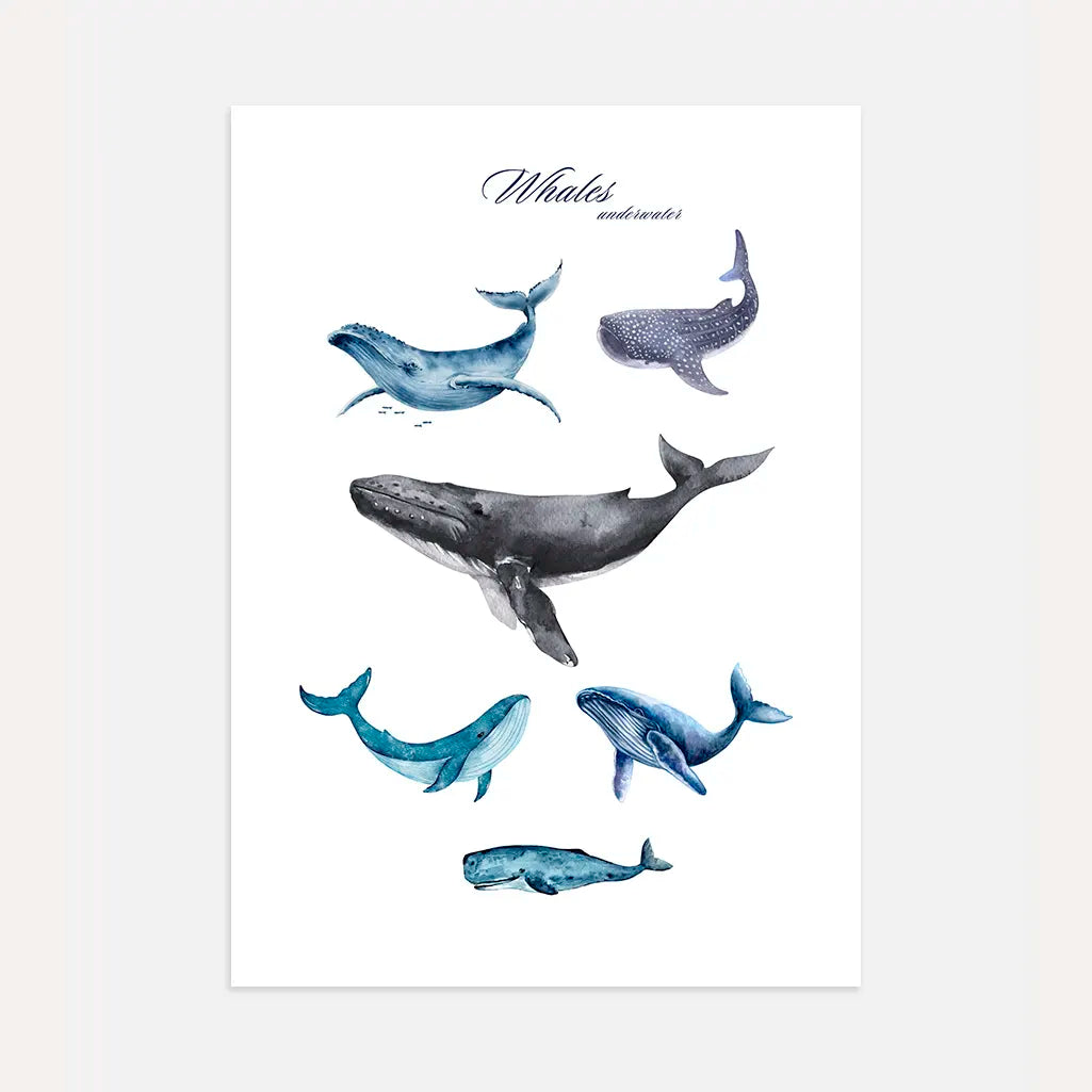 Underwater Whales Poster