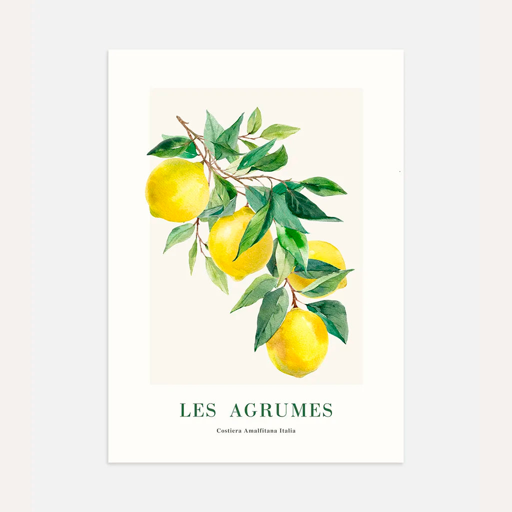 Poster Limoni Amalfi 