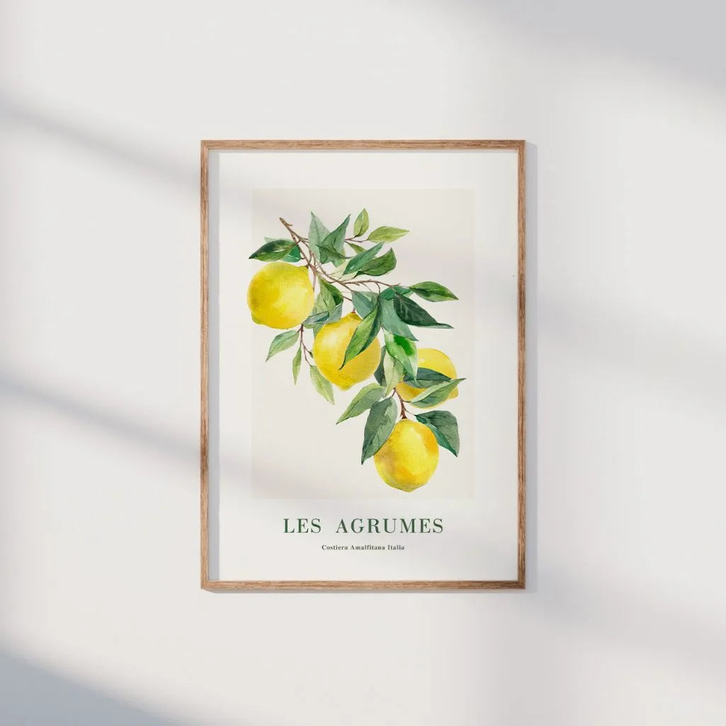 Poster Limoni Amalfi 
