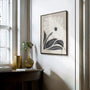 minimalistischer blumen poster im schlafzimmer ruhige botanische wandkunst
