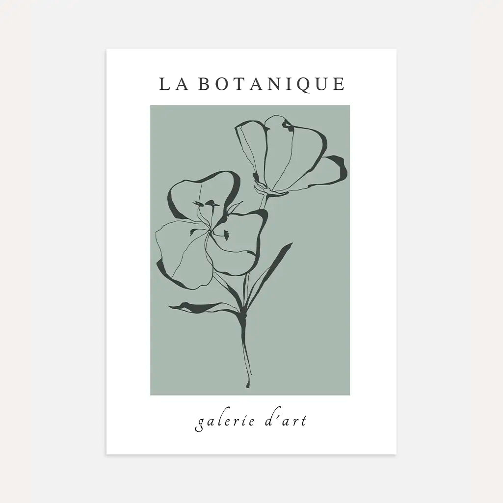 fleurs contours poster sage green minimalist botanical line art