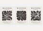 henri matisse dark botanical poster set wall art