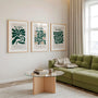 henri matisse botanical poster set green living room wall decor