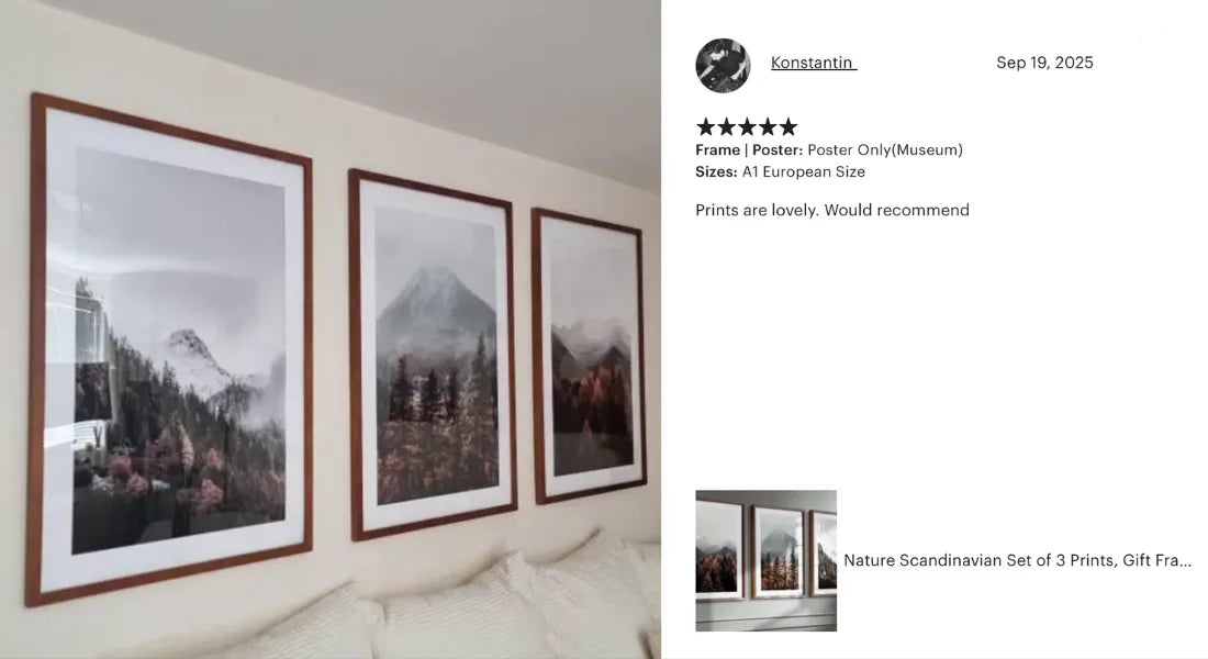 scandinavian nature poster set of 3 framed wall art in bedroom real customer interior minimalist decor