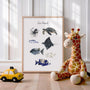 sea friends poster nursery ocean decor