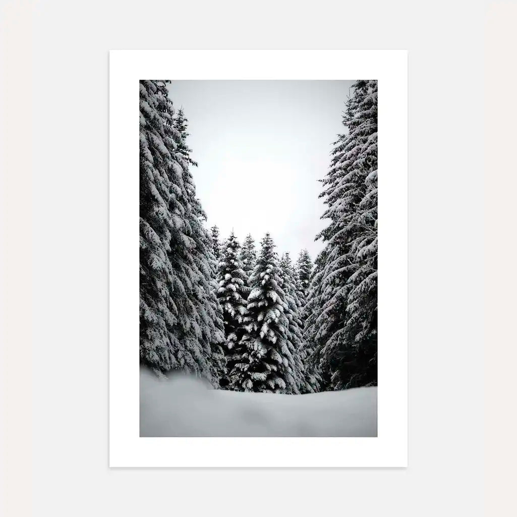 Poster Bianco e Nero